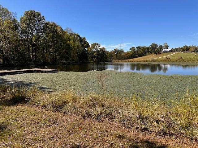 1302 French Meyers Lane, Irvington, Kentucky 40146, 4 Bedrooms Bedrooms, ,3 BathroomsBathrooms,Farm,For Sale,French Meyers Lane,90752