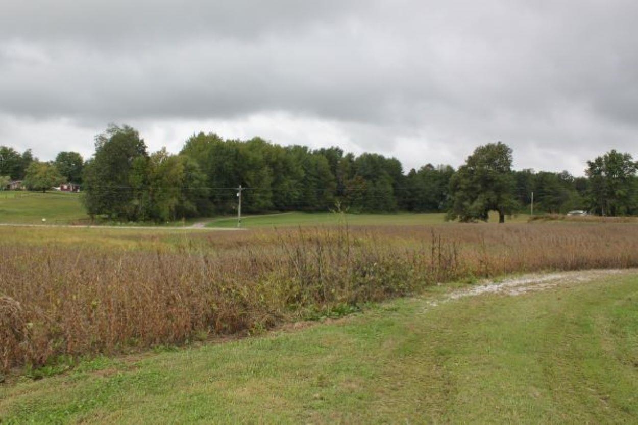 0 County Rd 350 W, Rockport, IN, Indiana 47635, ,Land,For Sale,County Rd 350 W,90775