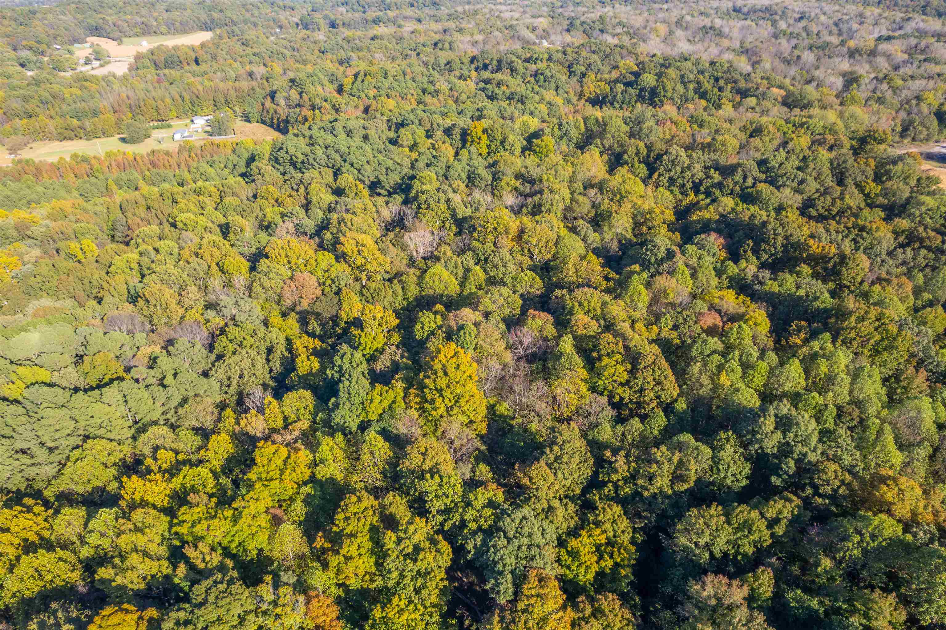 4832 Windy Hollow Rd., Owensboro, Kentucky 42301, ,Farm,For Sale,Windy Hollow Rd.,90780