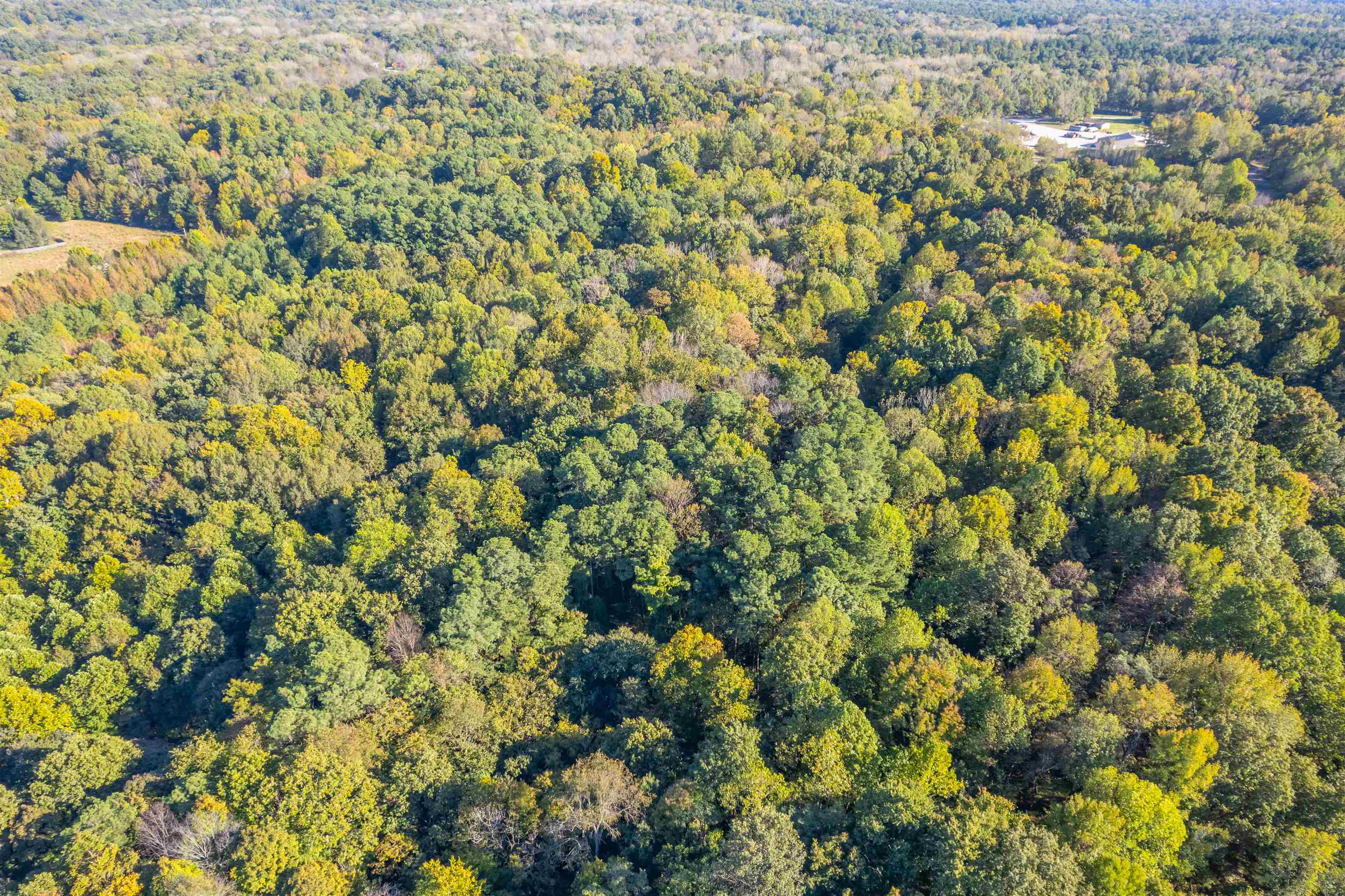 4832 Windy Hollow Rd., Owensboro, Kentucky 42301, ,Farm,For Sale,Windy Hollow Rd.,90780