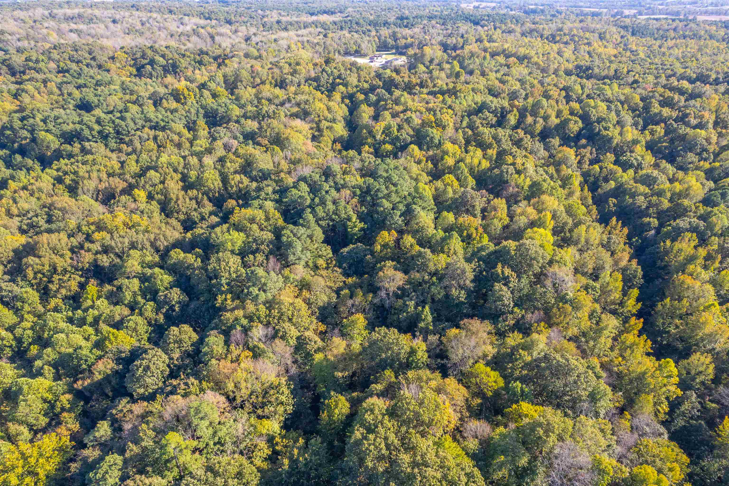 4832 Windy Hollow Rd., Owensboro, Kentucky 42301, ,Farm,For Sale,Windy Hollow Rd.,90780