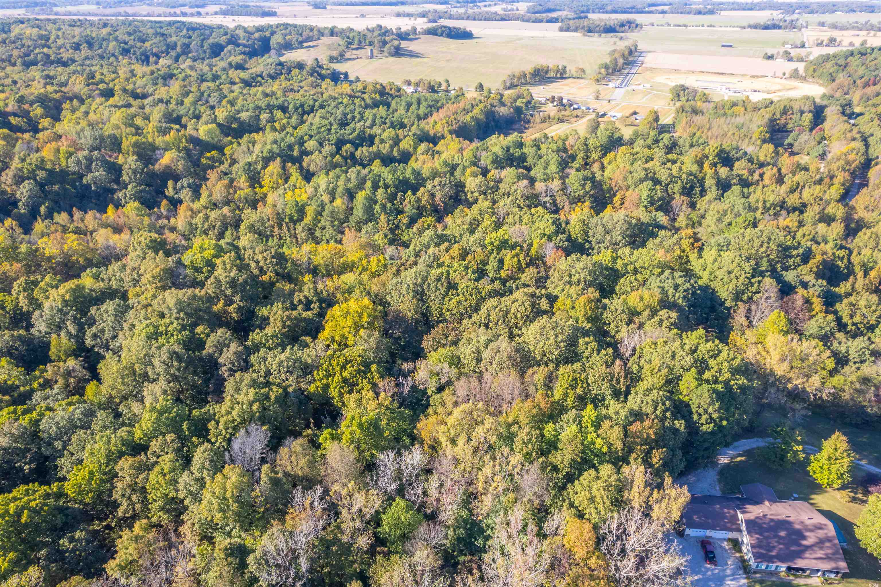 4832 Windy Hollow Rd., Owensboro, Kentucky 42301, ,Farm,For Sale,Windy Hollow Rd.,90780