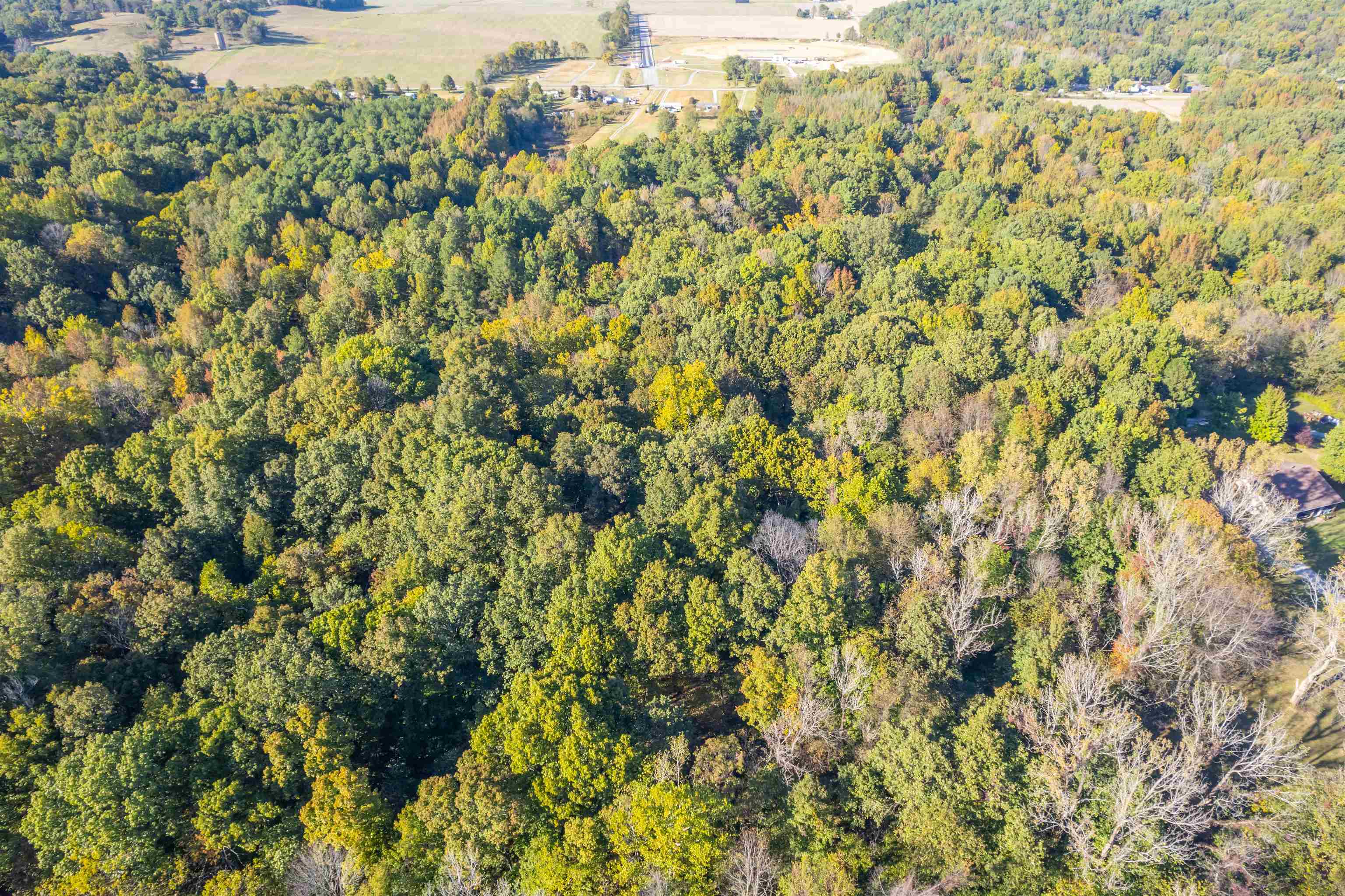 4832 Windy Hollow Rd., Owensboro, Kentucky 42301, ,Farm,For Sale,Windy Hollow Rd.,90780