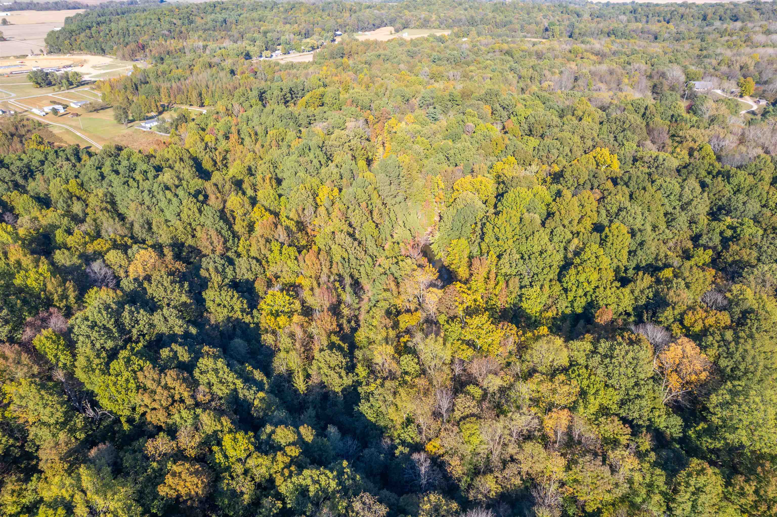 4832 Windy Hollow Rd., Owensboro, Kentucky 42301, ,Farm,For Sale,Windy Hollow Rd.,90780