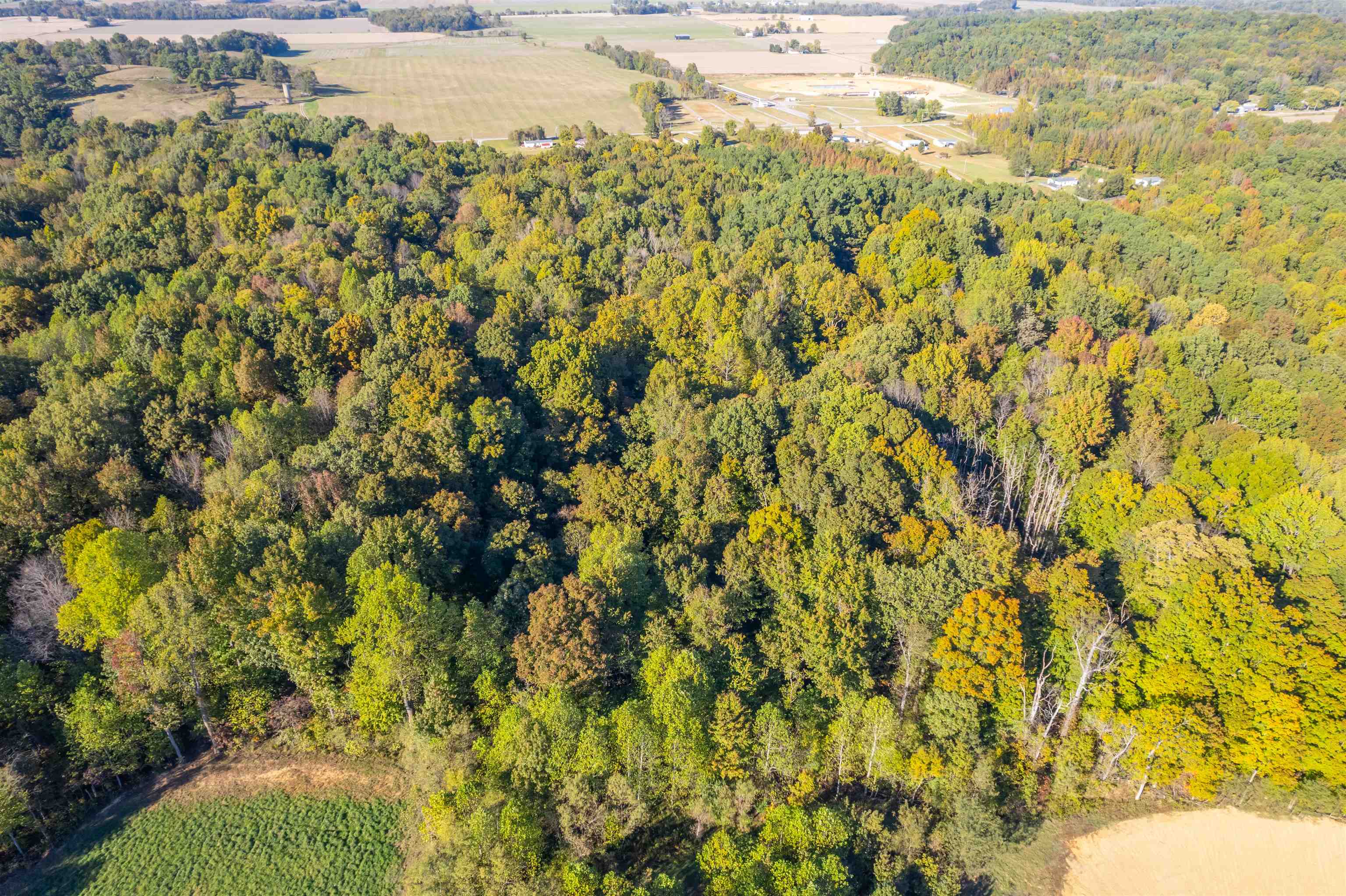 4832 Windy Hollow Rd., Owensboro, Kentucky 42301, ,Farm,For Sale,Windy Hollow Rd.,90780