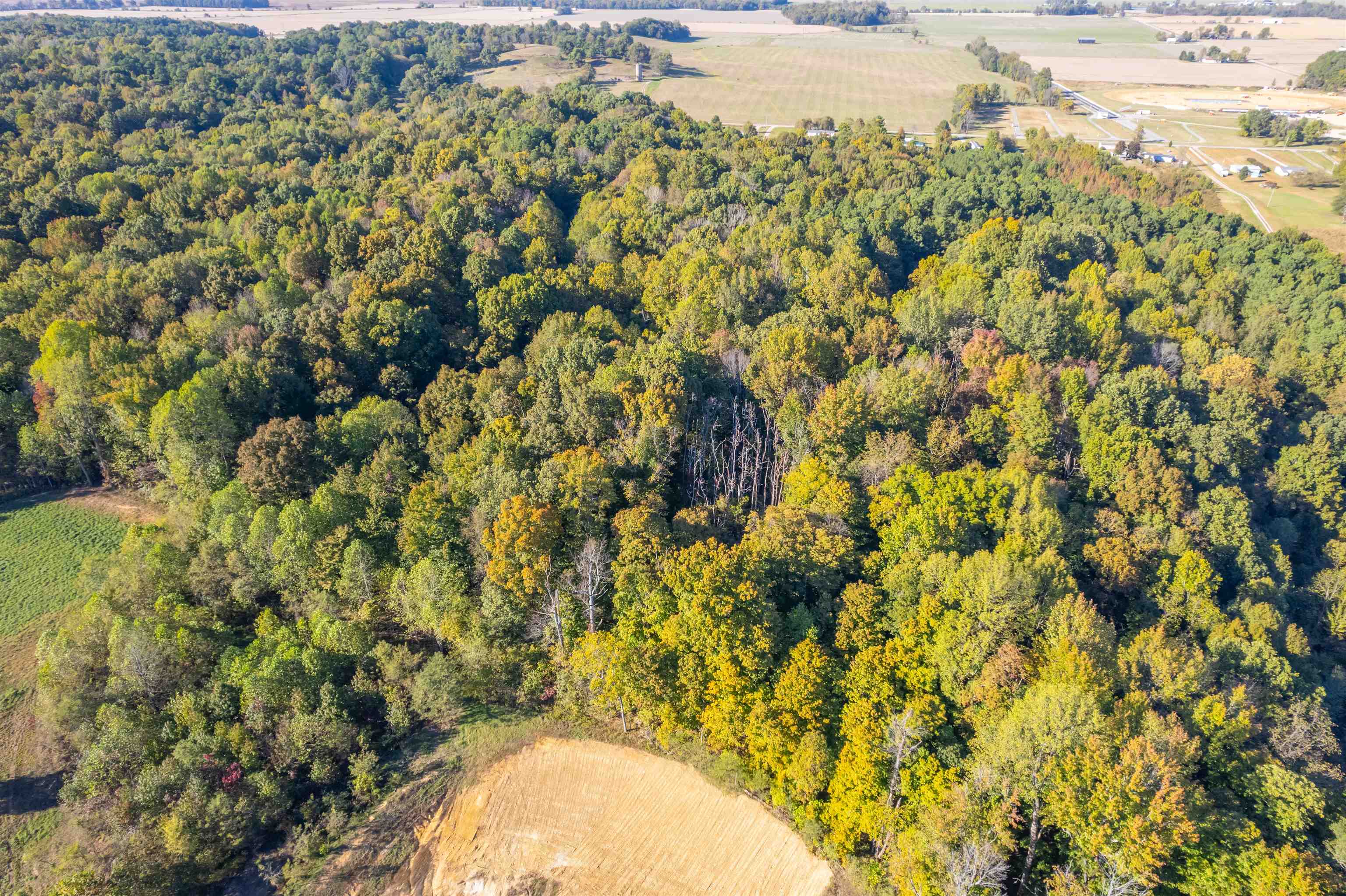 4832 Windy Hollow Rd., Owensboro, Kentucky 42301, ,Farm,For Sale,Windy Hollow Rd.,90780