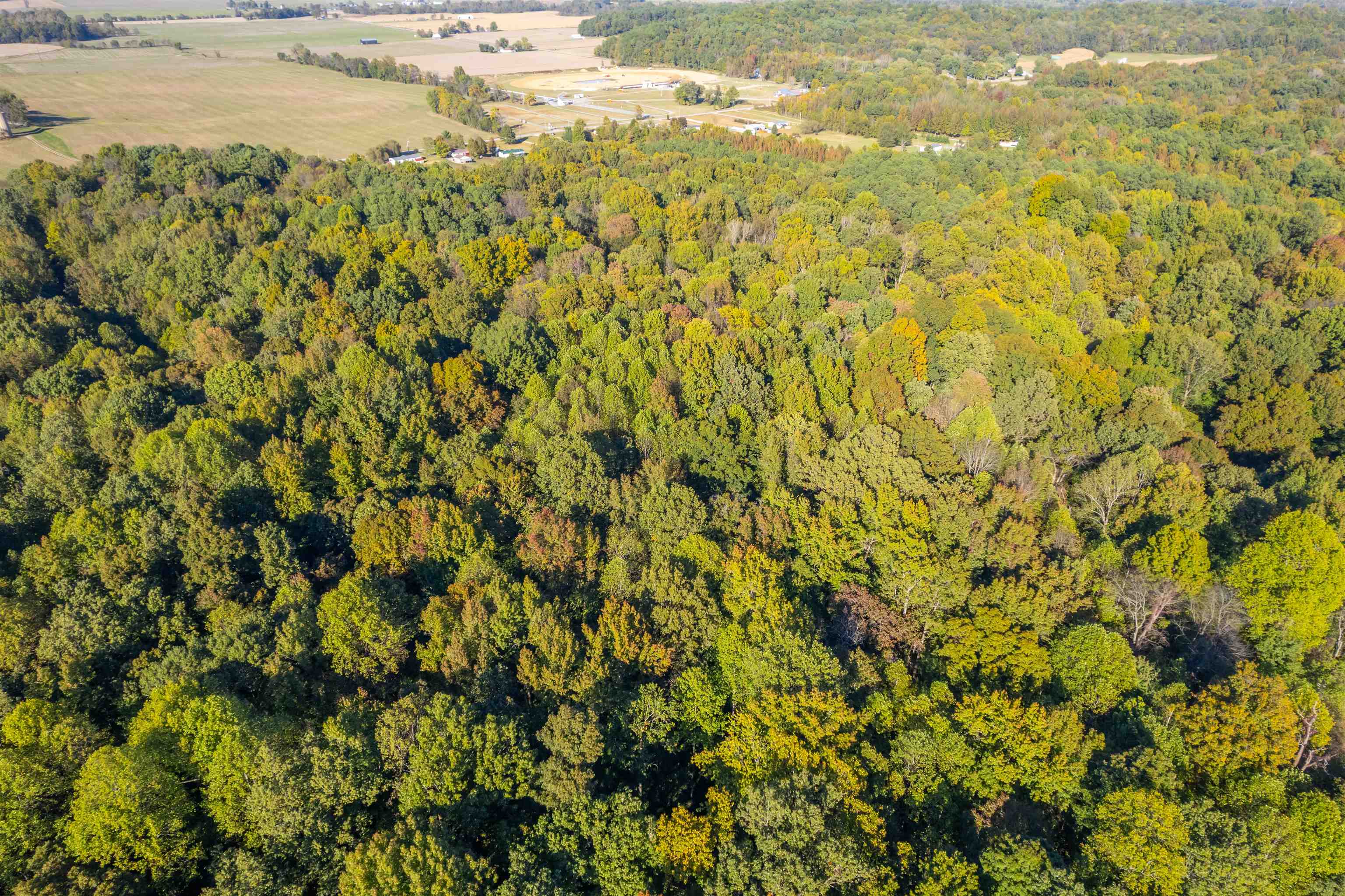 4832 Windy Hollow Rd., Owensboro, Kentucky 42301, ,Farm,For Sale,Windy Hollow Rd.,90780