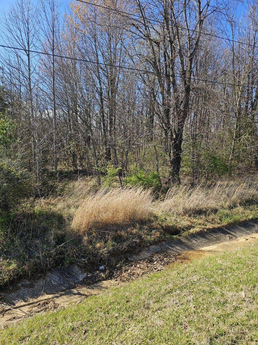 42 Booth Field Road, Owensboro, Kentucky 42301, ,Land,For Sale,Booth Field Road,90809