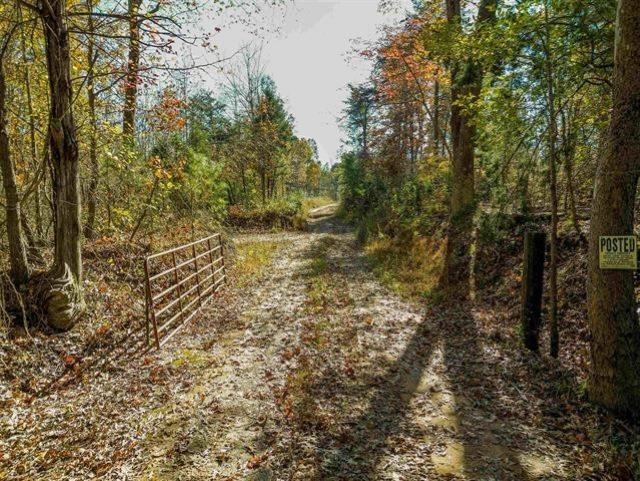 MAP 44-11 Campbell Road, Madisonville, Kentucky 42431, ,Land,For Sale,Campbell Road,90944