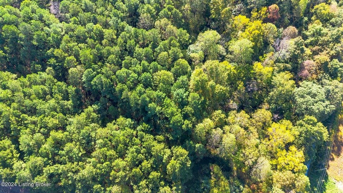 381 Kiper Whitworth Lane, McDaniels, Kentucky 42754, ,Land,For Sale,Kiper Whitworth Lane,90951