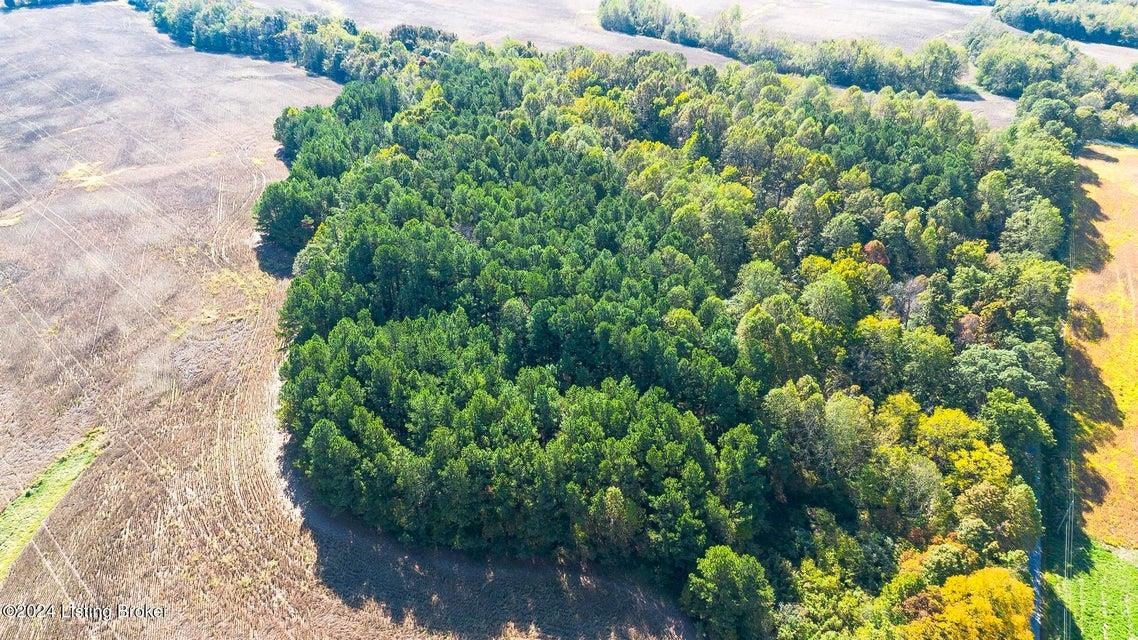 381 Kiper Whitworth Lane, McDaniels, Kentucky 42754, ,Land,For Sale,Kiper Whitworth Lane,90951