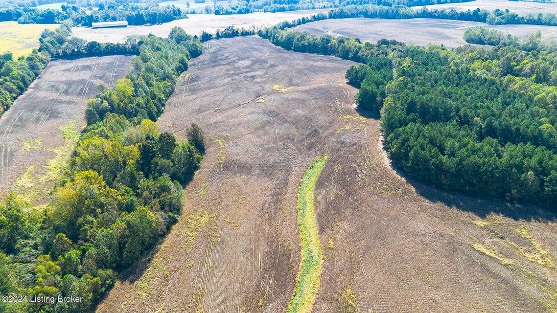 381 Kiper Whitworth Lane, McDaniels, Kentucky 42754, ,Land,For Sale,Kiper Whitworth Lane,90951