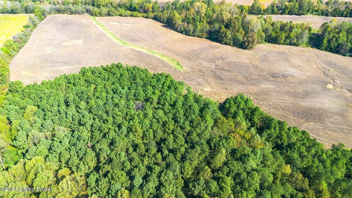 381 Kiper Whitworth Lane, McDaniels, Kentucky 42754, ,Land,For Sale,Kiper Whitworth Lane,90951
