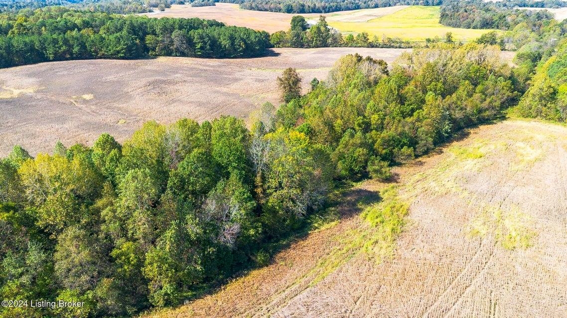 381 Kiper Whitworth Lane, McDaniels, Kentucky 42754, ,Land,For Sale,Kiper Whitworth Lane,90951