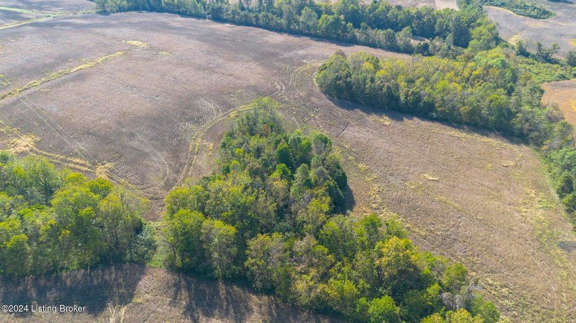 381 Kiper Whitworth Lane, McDaniels, Kentucky 42754, ,Land,For Sale,Kiper Whitworth Lane,90951