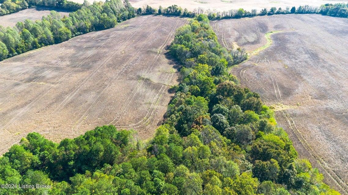 381 Kiper Whitworth Lane, McDaniels, Kentucky 42754, ,Land,For Sale,Kiper Whitworth Lane,90951