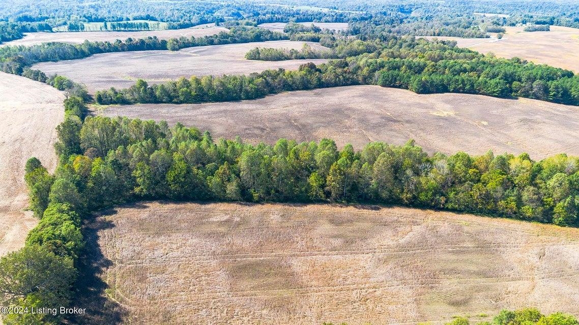381 Kiper Whitworth Lane, McDaniels, Kentucky 42754, ,Land,For Sale,Kiper Whitworth Lane,90951