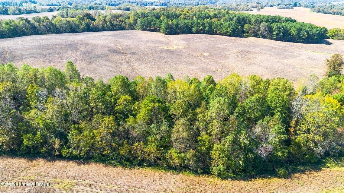 381 Kiper Whitworth Lane, McDaniels, Kentucky 42754, ,Land,For Sale,Kiper Whitworth Lane,90951