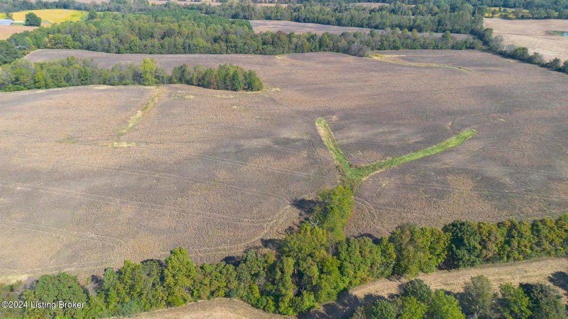 381 Kiper Whitworth Lane, McDaniels, Kentucky 42754, ,Land,For Sale,Kiper Whitworth Lane,90951