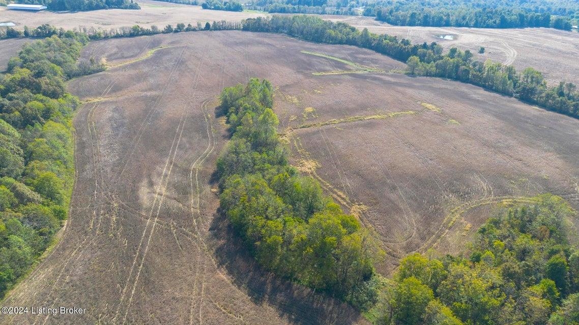 381 Kiper Whitworth Lane, McDaniels, Kentucky 42754, ,Land,For Sale,Kiper Whitworth Lane,90951