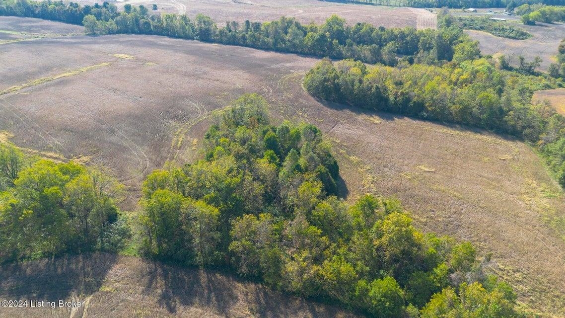 381 Kiper Whitworth Lane, McDaniels, Kentucky 42754, ,Land,For Sale,Kiper Whitworth Lane,90951