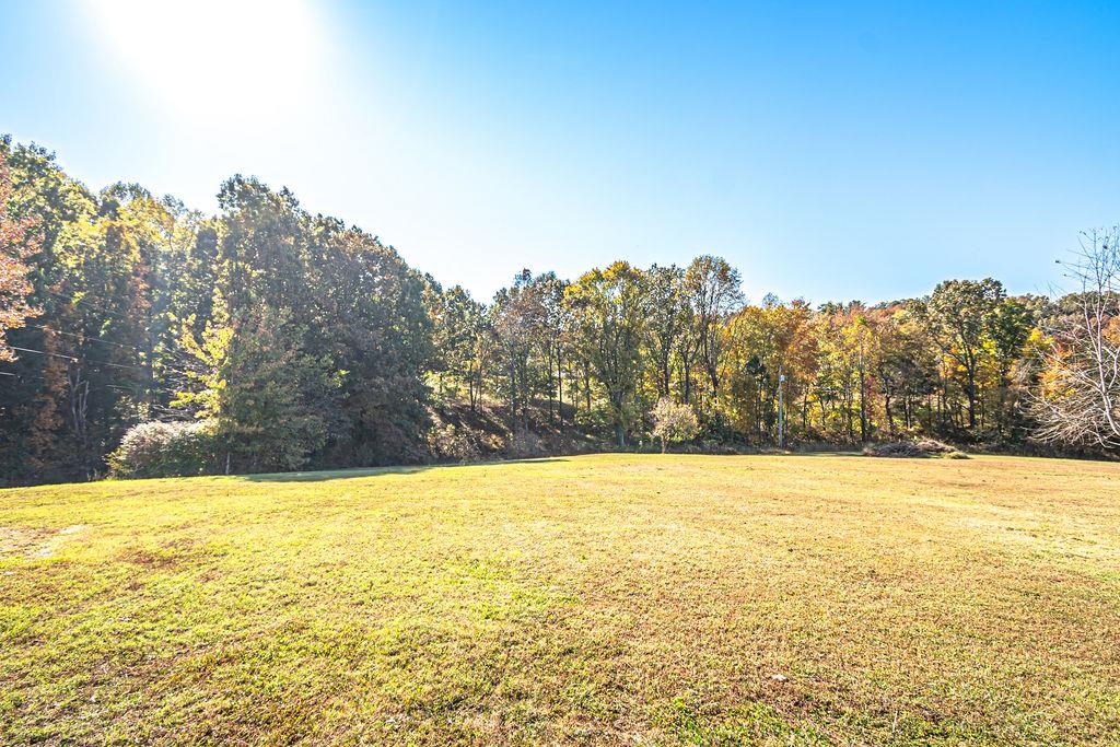 246 Valley View Drive, Morgantown, Kentucky 42261, 4 Bedrooms Bedrooms, ,3 BathroomsBathrooms,Ranch,For Sale,Valley View Drive,90958