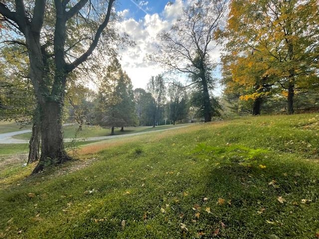 1056 Yelvington Lane, Maceo, Kentucky 42355, ,Land,For Sale,Yelvington Lane,90964