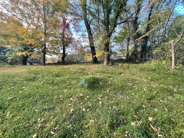 1056 Yelvington Lane, Maceo, Kentucky 42355, ,Land,For Sale,Yelvington Lane,90964