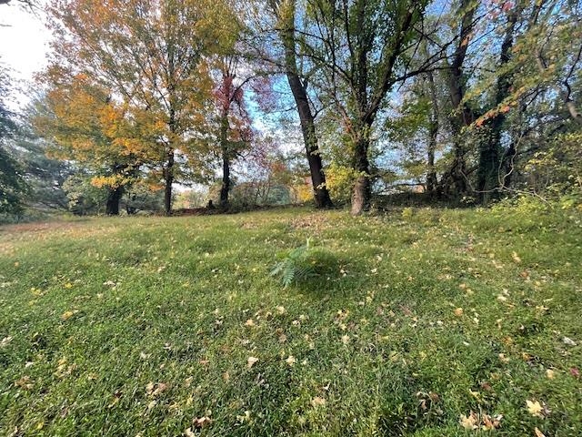 1056 Yelvington Lane, Maceo, Kentucky 42355, ,Land,For Sale,Yelvington Lane,90964
