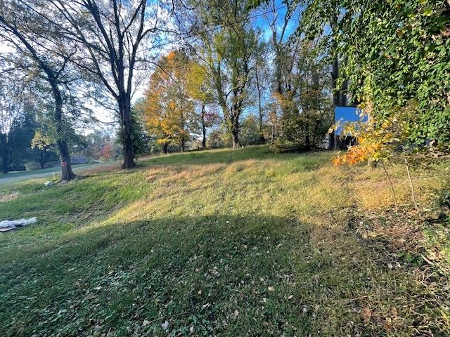 1056 Yelvington Lane, Maceo, Kentucky 42355, ,Land,For Sale,Yelvington Lane,90964