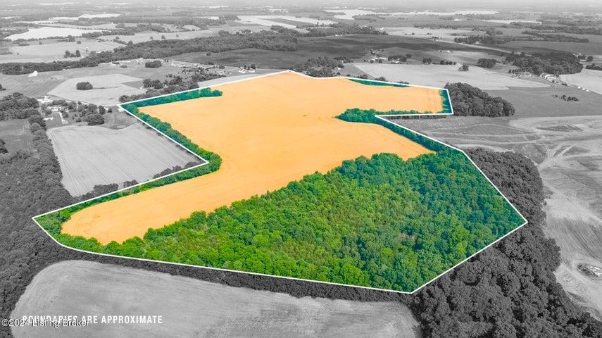 251 Rufus Dison Rd, Franklin, Kentucky 42134, ,Land,For Sale,Rufus Dison Rd,90986