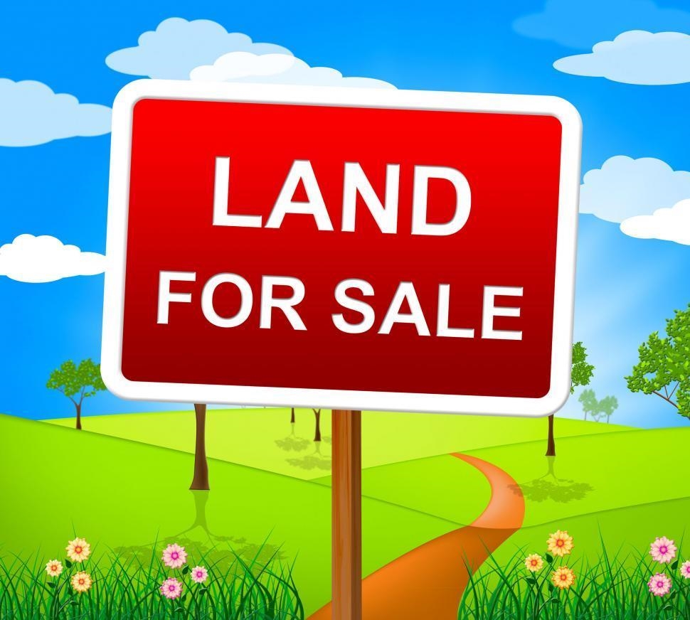 541 Sandy Flat Rd, BROWNSVILLE, Kentucky 42210, ,Land,For Sale,Sandy Flat Rd,90996