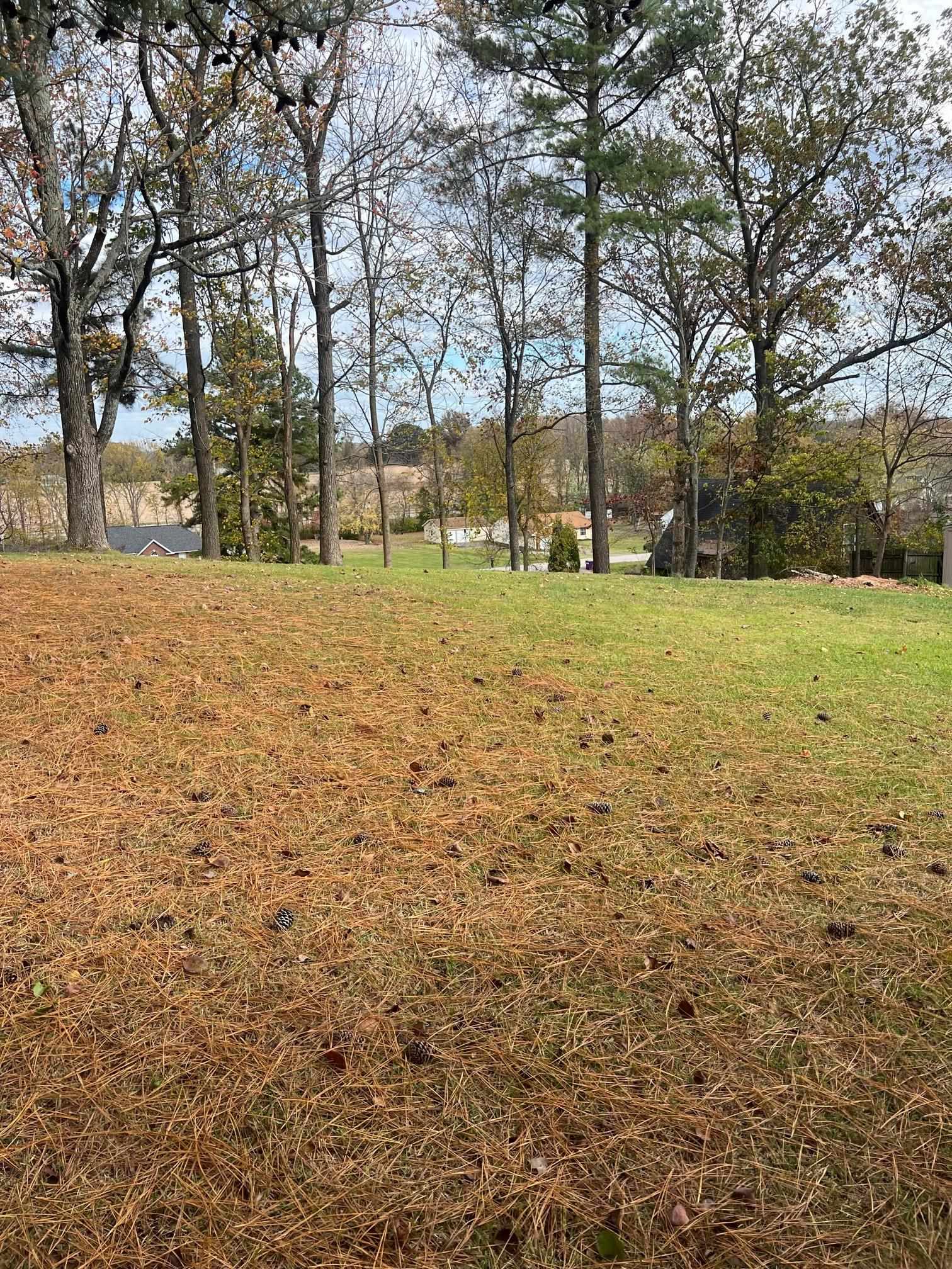 230 Hillcrest Circle, Hawesville, Kentucky 42348, 3 Bedrooms Bedrooms, ,2 BathroomsBathrooms,Single Family Residence,For Sale,Hillcrest Circle,91017