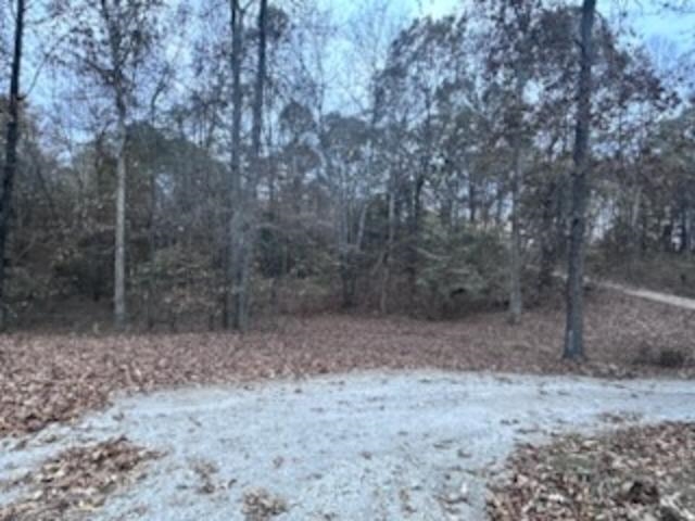 221 Maple Leaf Dr, Utica, Kentucky 42376, 4 Bedrooms Bedrooms, ,3 BathroomsBathrooms,Manufactured On Land,For Sale,Maple Leaf Dr,91019