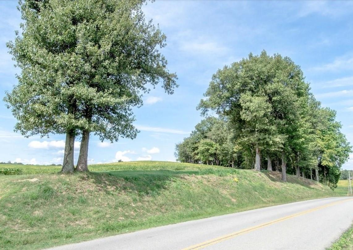 0 Hwy 815, Calhoun, Kentucky 42327, ,Land,For Sale,Hwy 815,91020
