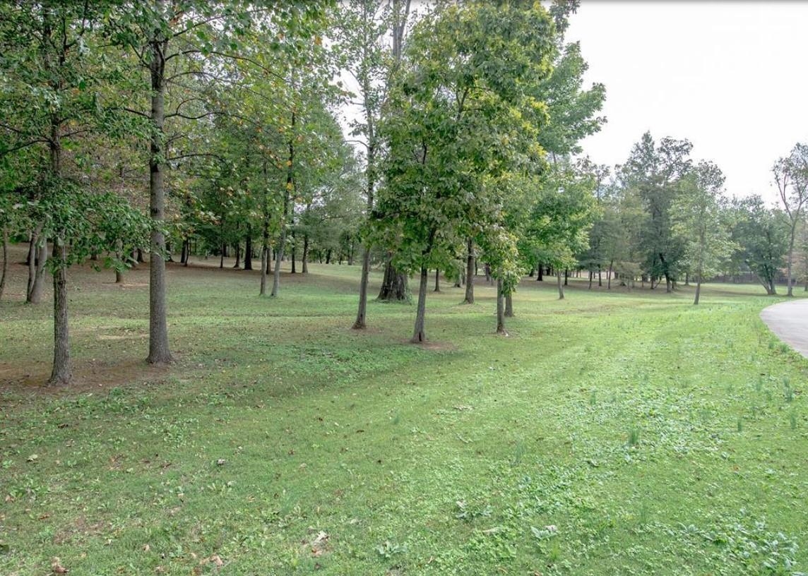 8 Parkview Circle, Calhoun, Kentucky 42327, ,Land,For Sale,Parkview Circle,91021
