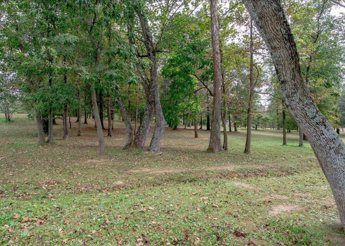 8 Parkview Circle, Calhoun, Kentucky 42327, ,Land,For Sale,Parkview Circle,91021