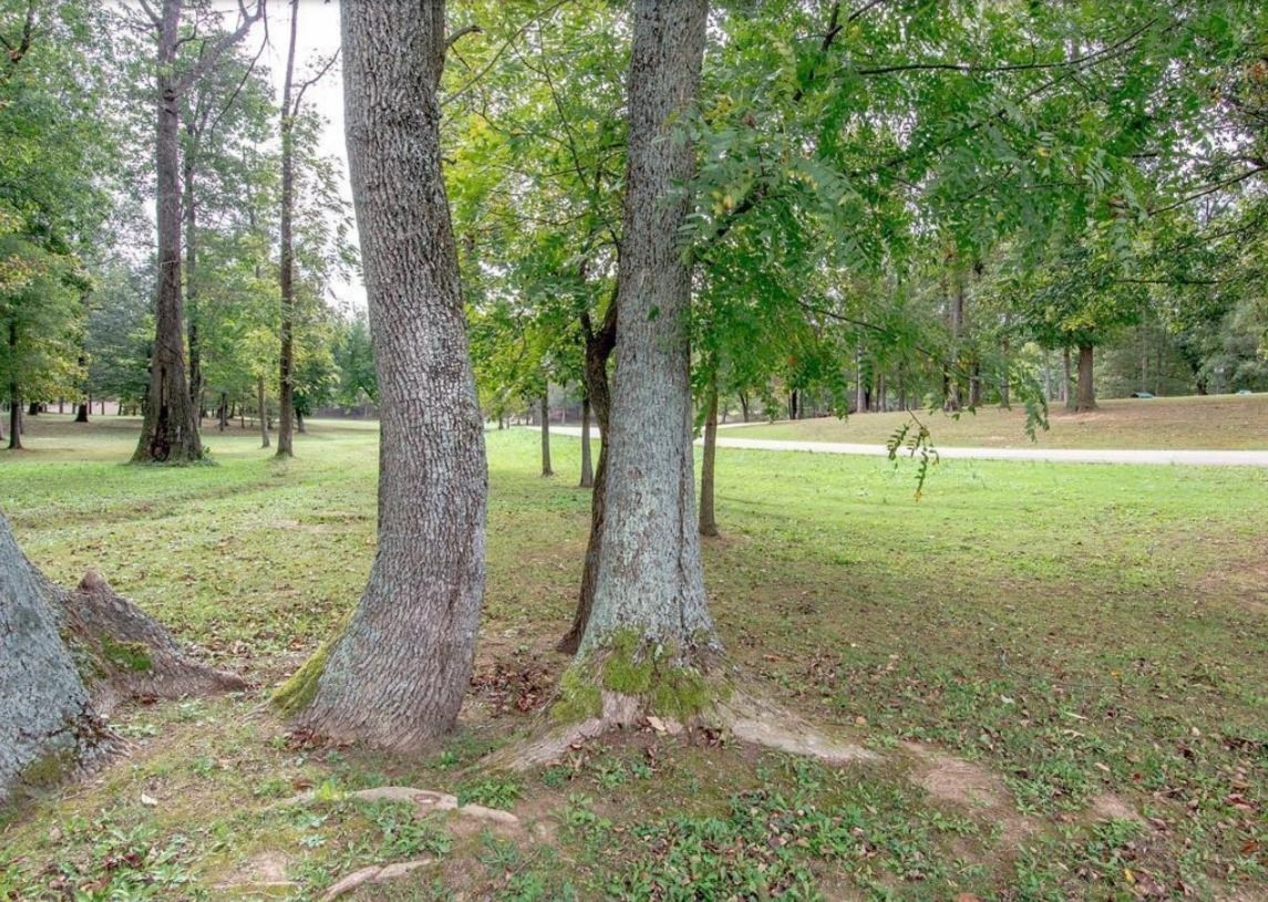 8 Parkview Circle, Calhoun, Kentucky 42327, ,Land,For Sale,Parkview Circle,91021