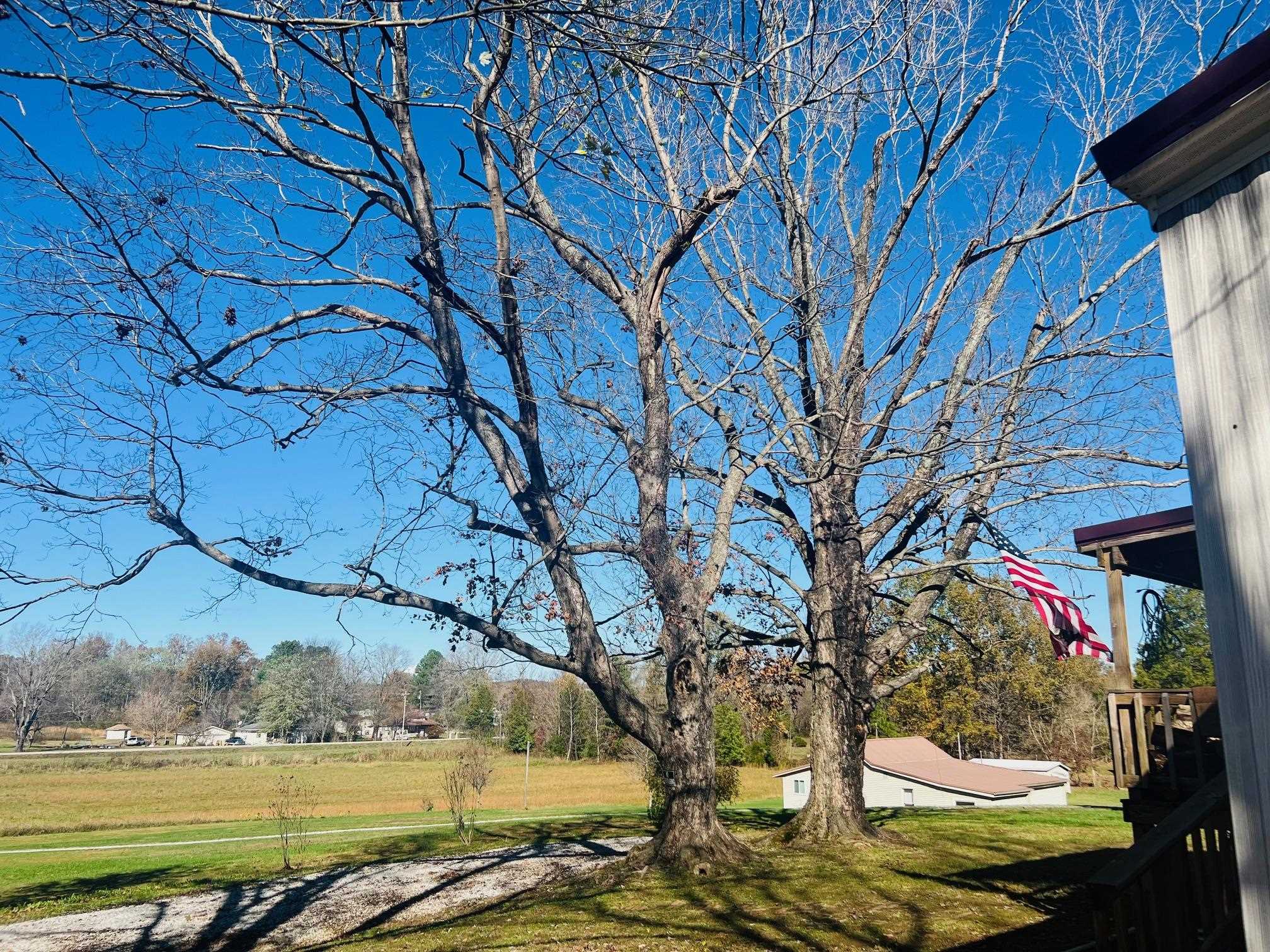 95 Kronos loop, Centertown, Kentucky 42328, 2 Bedrooms Bedrooms, ,2 BathroomsBathrooms,Manufactured On Land,For Sale,Kronos loop,91051