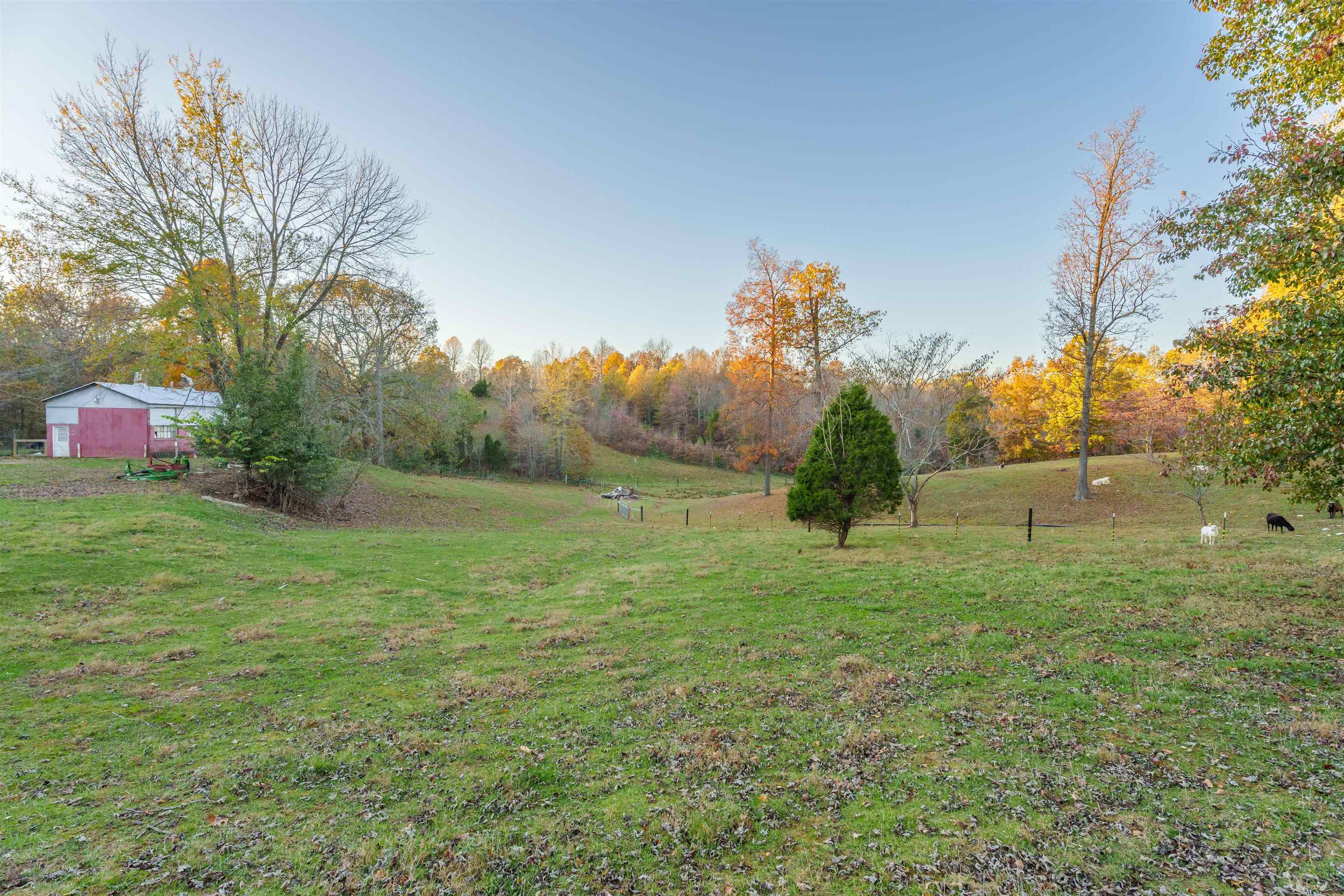 6815 Boston Laffoon, Philpot, Kentucky 42366, 3 Bedrooms Bedrooms, ,2 BathroomsBathrooms,Single Family Residence,For Sale,Boston Laffoon,91057