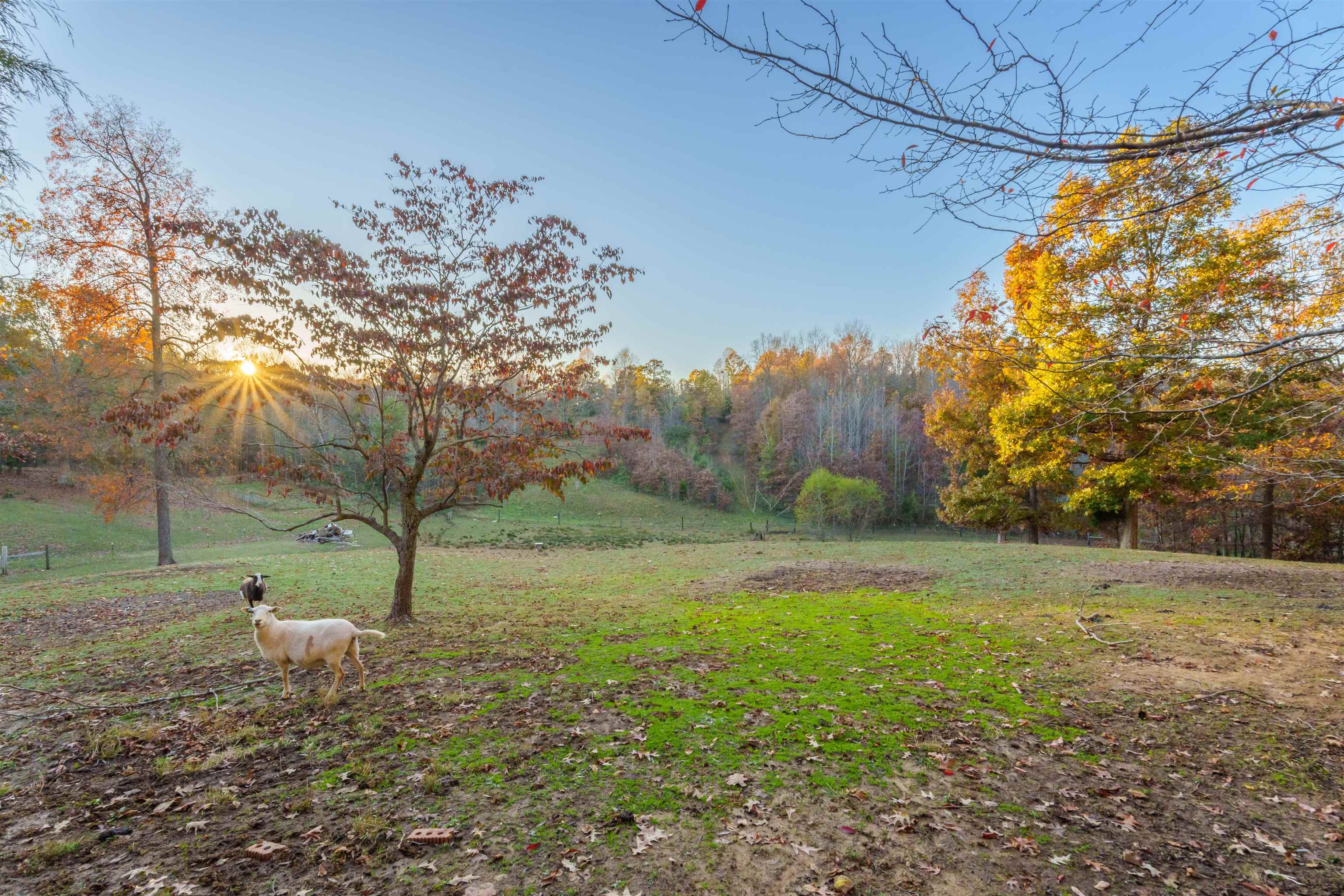 6815 Boston Laffoon, Philpot, Kentucky 42366, 3 Bedrooms Bedrooms, ,2 BathroomsBathrooms,Single Family Residence,For Sale,Boston Laffoon,91057