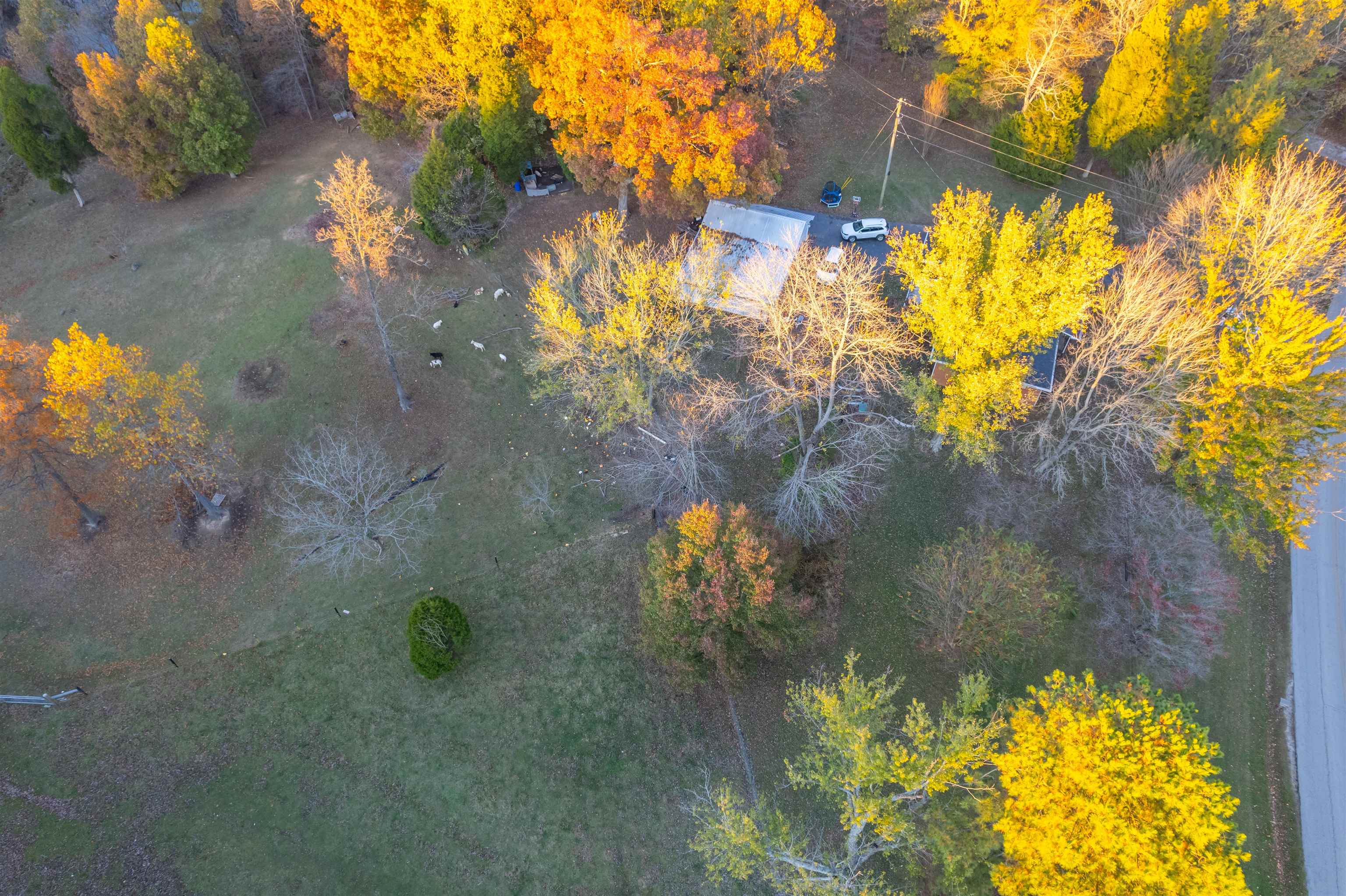 6815 Boston Laffoon, Philpot, Kentucky 42366, 3 Bedrooms Bedrooms, ,2 BathroomsBathrooms,Single Family Residence,For Sale,Boston Laffoon,91057