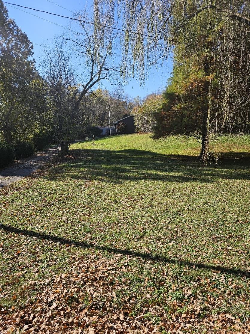 1076 Yelvington Lane, Maceo, Kentucky 42355, 2 Bedrooms Bedrooms, ,1 BathroomBathrooms,Single Family Residence,For Sale,Yelvington Lane,91061