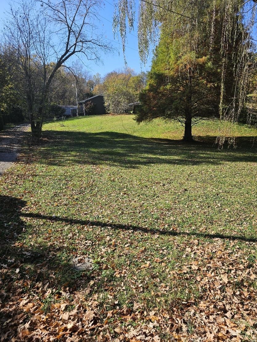 1076 Yelvington Lane, Maceo, Kentucky 42355, 2 Bedrooms Bedrooms, ,1 BathroomBathrooms,Single Family Residence,For Sale,Yelvington Lane,91061