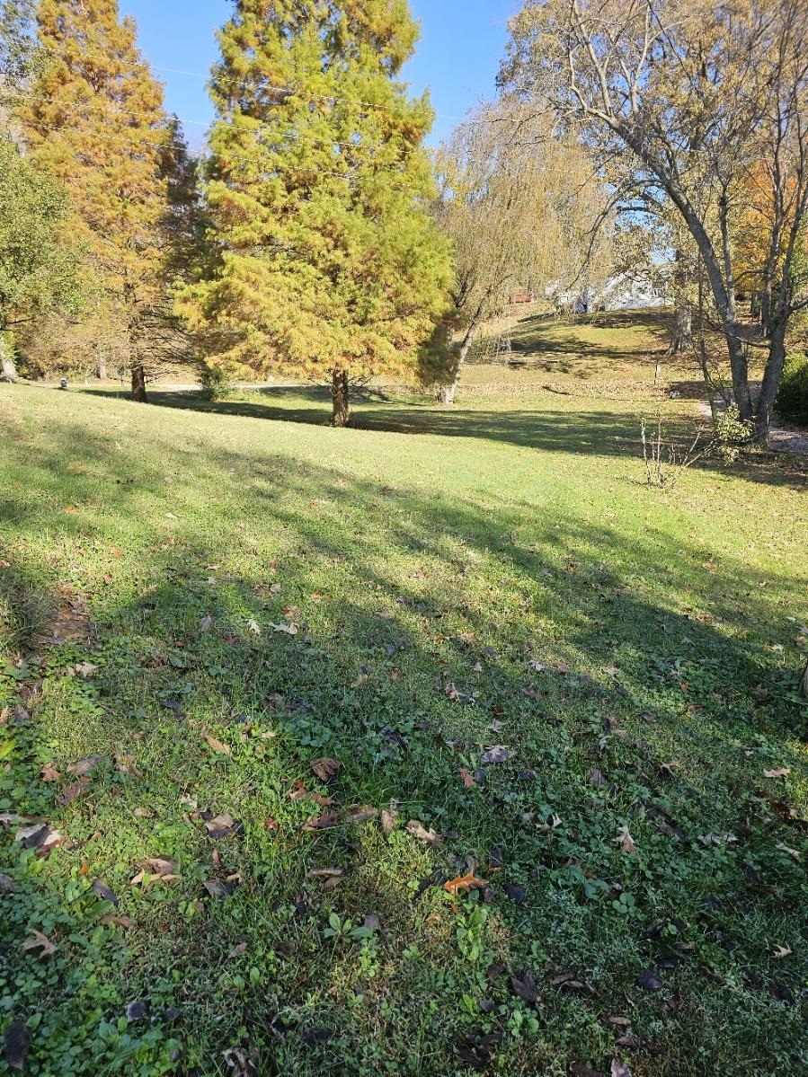 1076 Yelvington Lane, Maceo, Kentucky 42355, 2 Bedrooms Bedrooms, ,1 BathroomBathrooms,Single Family Residence,For Sale,Yelvington Lane,91061