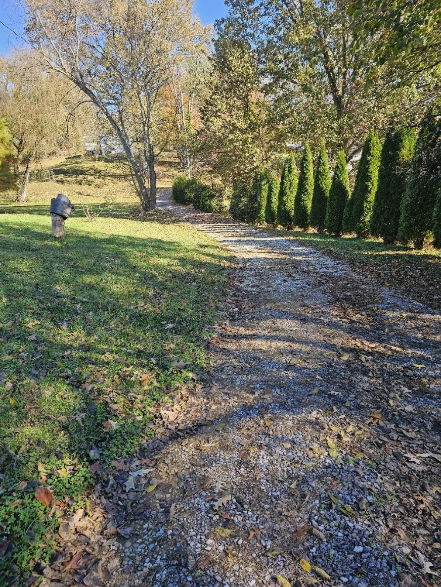 1076 Yelvington Lane, Maceo, Kentucky 42355, 2 Bedrooms Bedrooms, ,1 BathroomBathrooms,Single Family Residence,For Sale,Yelvington Lane,91061