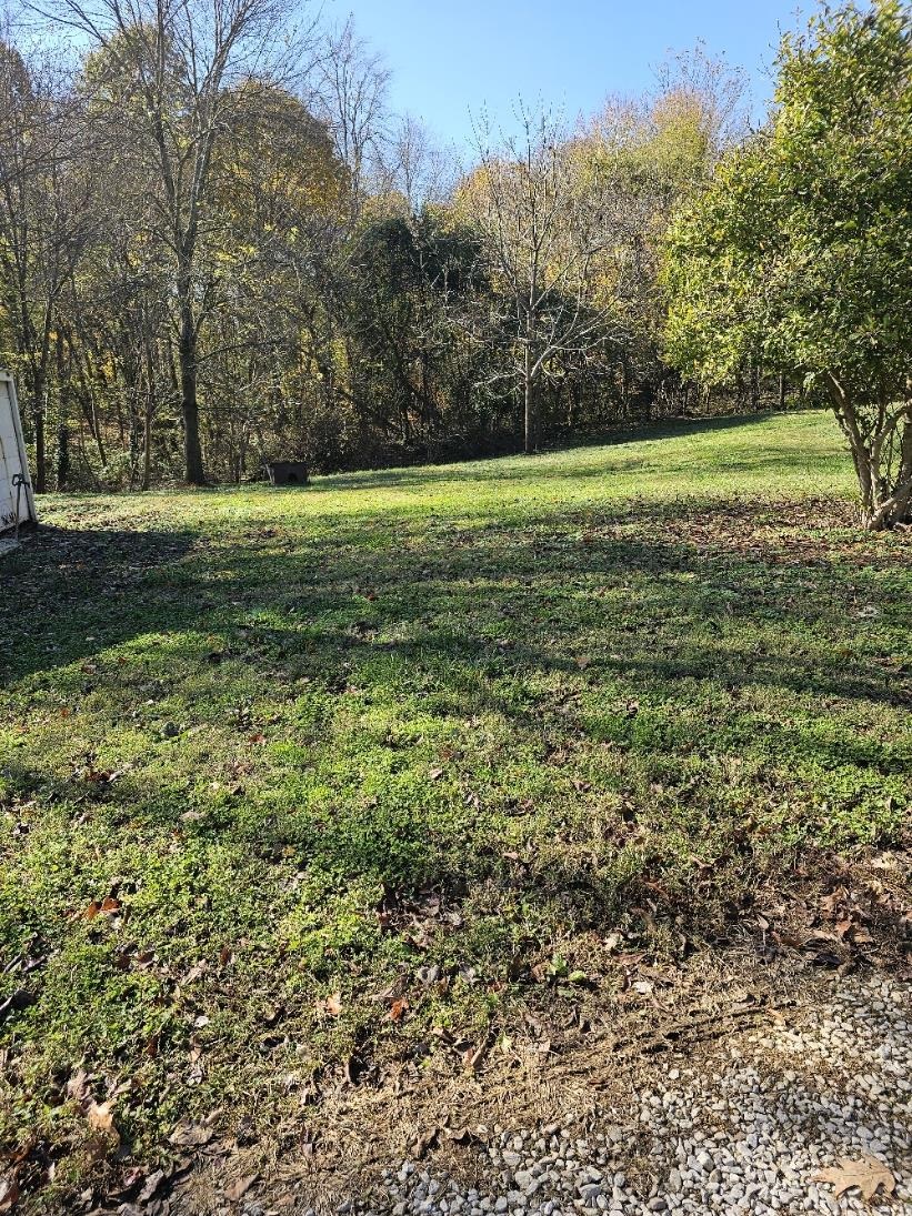 1076 Yelvington Lane, Maceo, Kentucky 42355, 2 Bedrooms Bedrooms, ,1 BathroomBathrooms,Single Family Residence,For Sale,Yelvington Lane,91061