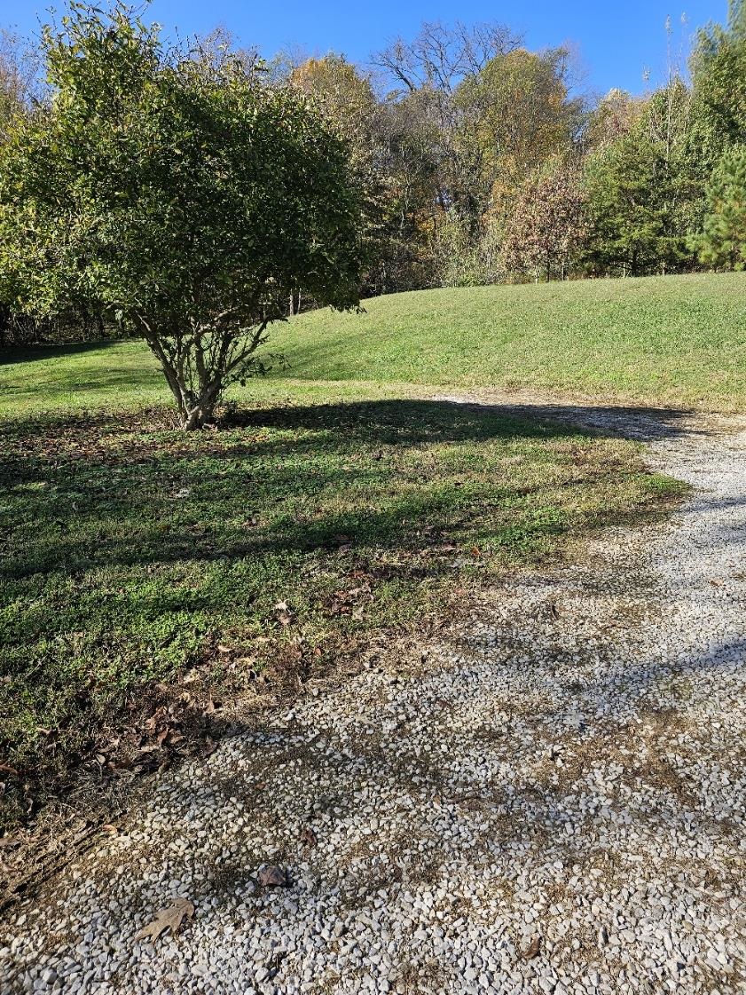 1076 Yelvington Lane, Maceo, Kentucky 42355, 2 Bedrooms Bedrooms, ,1 BathroomBathrooms,Single Family Residence,For Sale,Yelvington Lane,91061