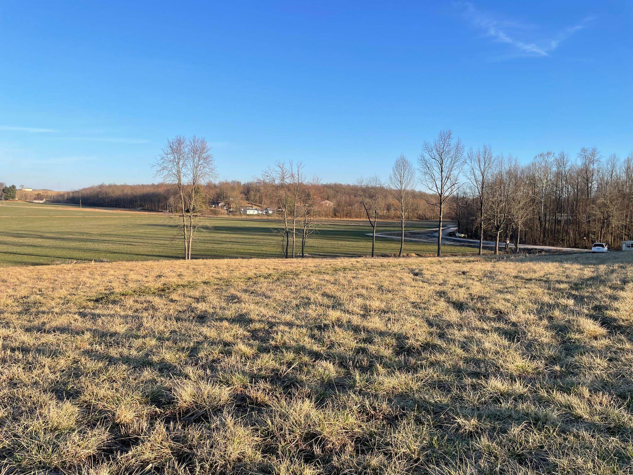 HWY 951, Knottsville, Kentucky 42366, ,Land,For Sale,HWY 951,91115