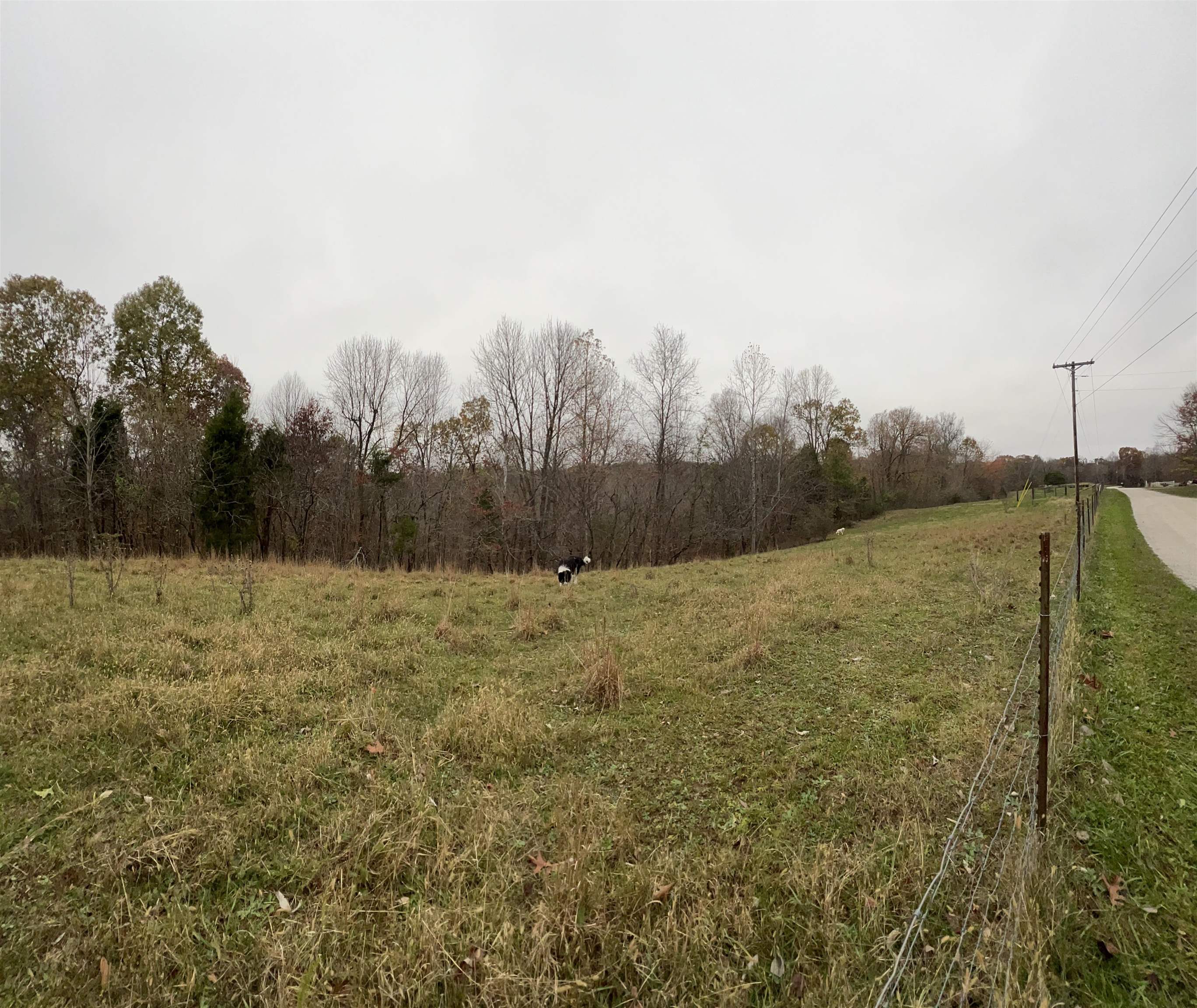 Hawesville-Easton Rd., Reynolds Station, Kentucky 42368, ,Land,For Sale,Hawesville-Easton Rd.,91125